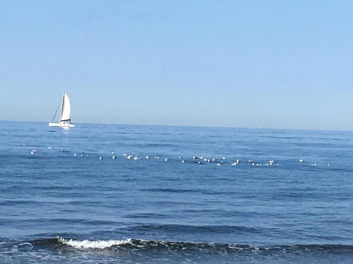 La Mouette Bleue Maison De Ville Individuelle Et Climatisee Martigues Zewnętrze zdjęcie